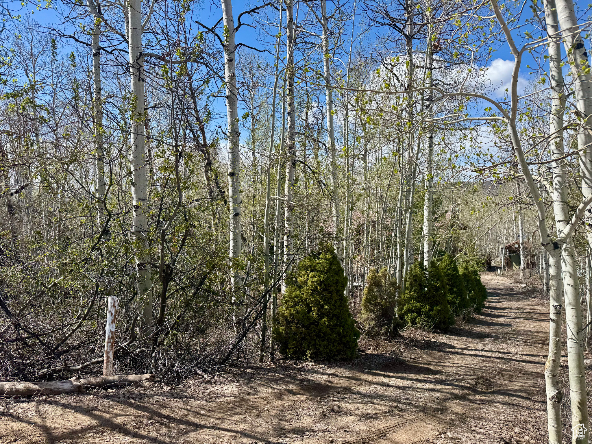 TIMBER LAKES - Residential
