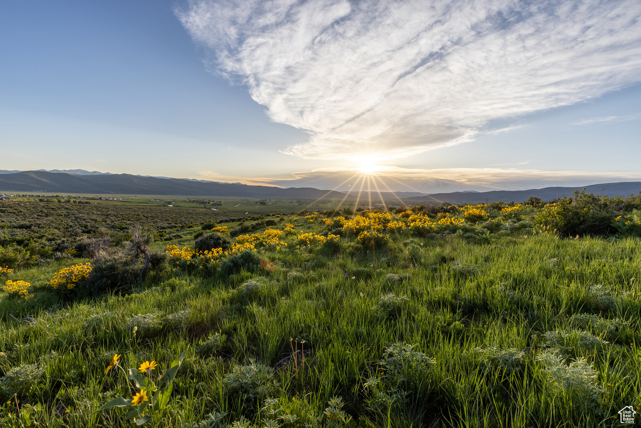 HOYT PEAK RANCH - Land