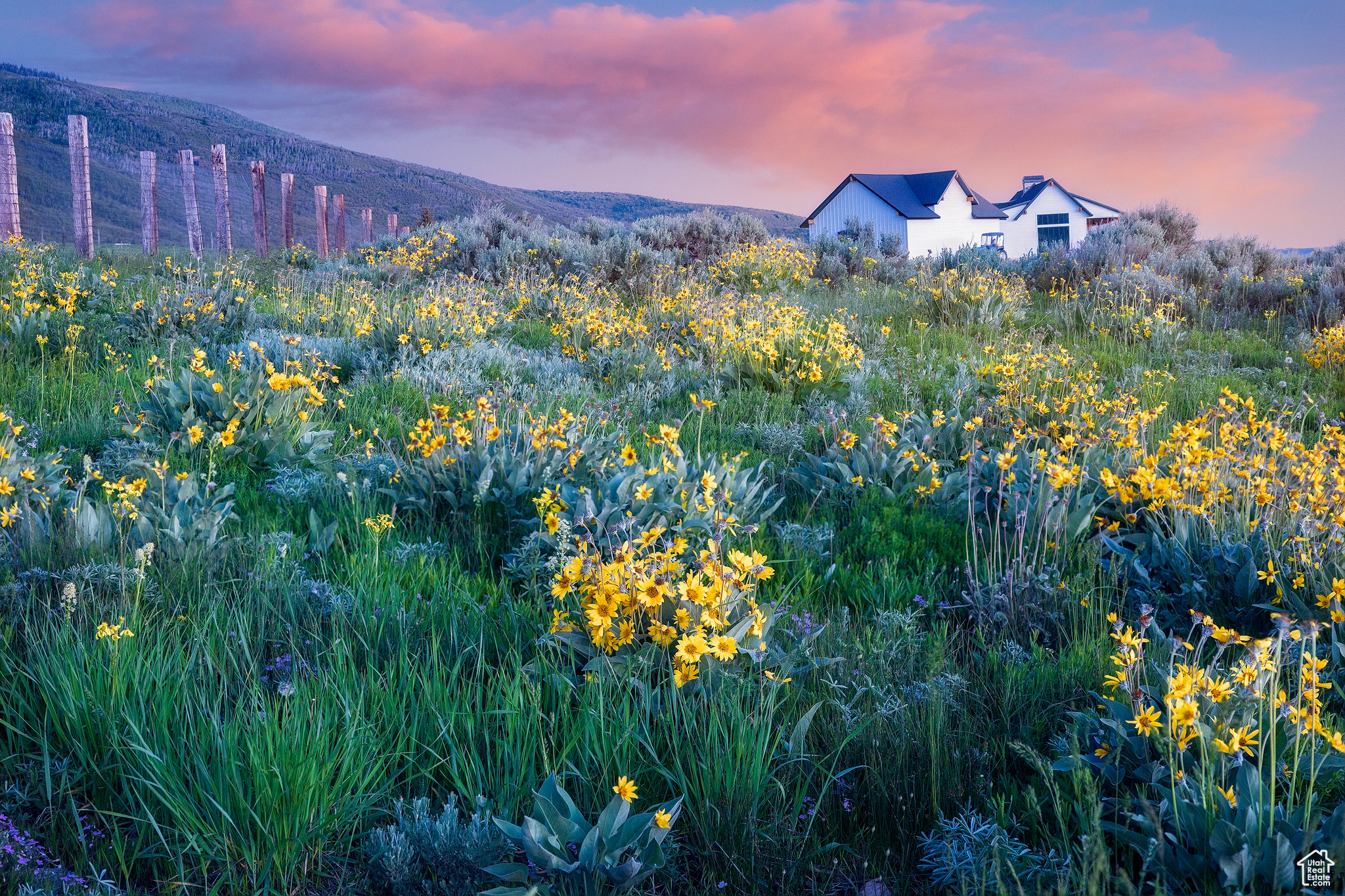 HOYT PEAK RANCH - Land