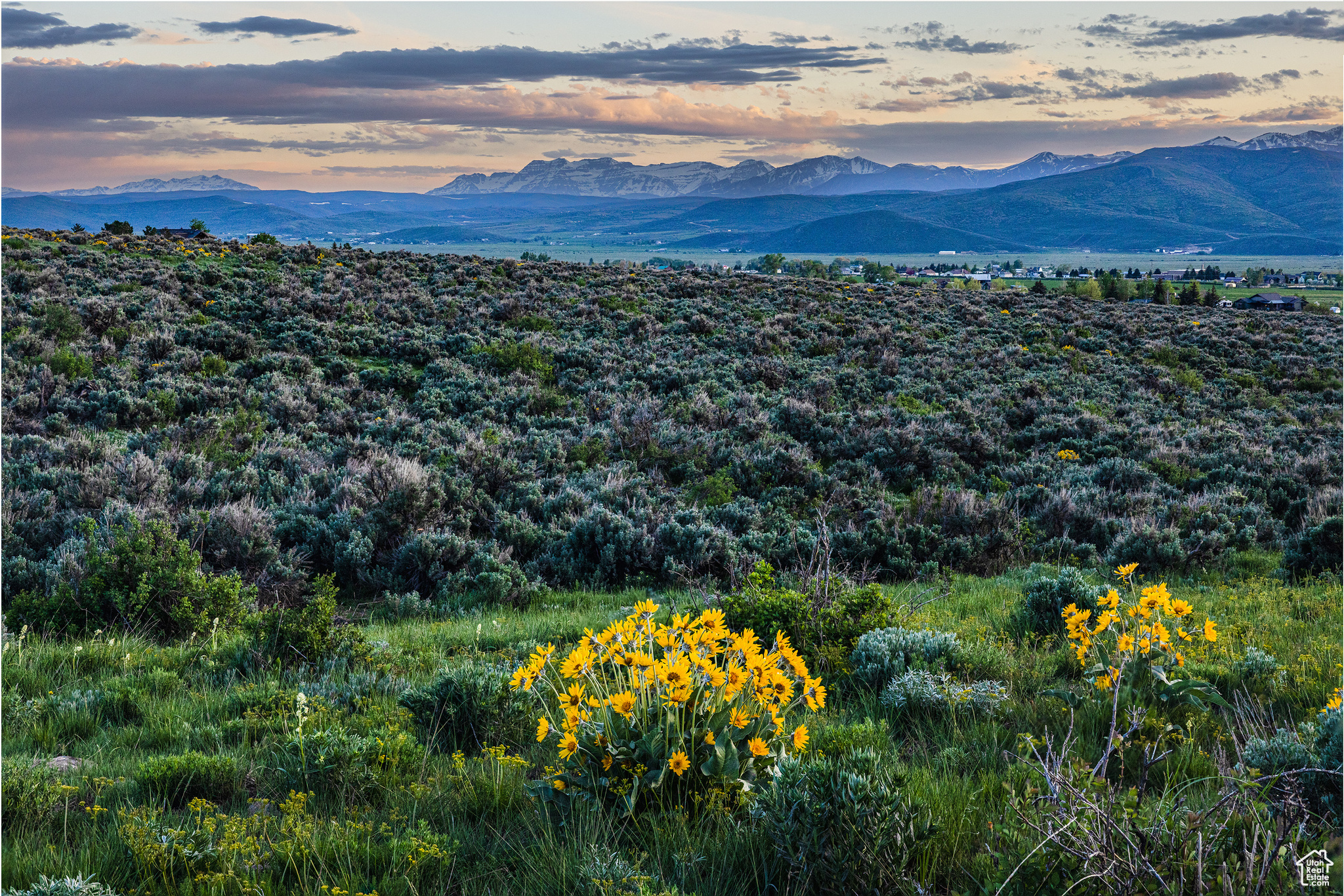 HOYT PEAK RANCH - Land