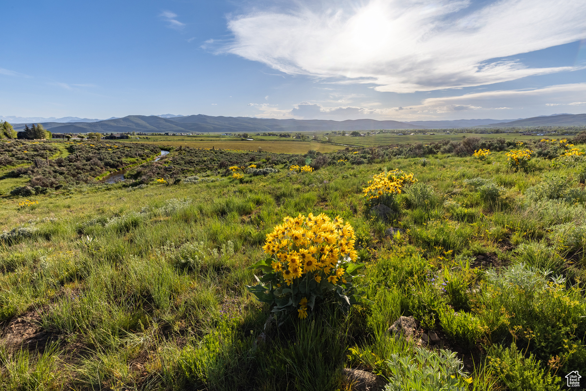 HOYT PEAK RANCH - Land