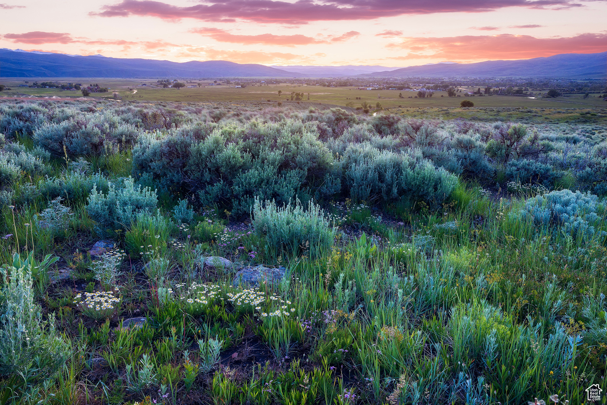 HOYT PEAK RANCH - Land