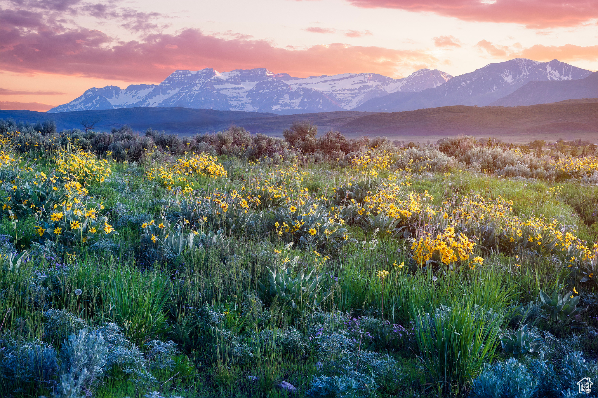 HOYT PEAK RANCH - Land