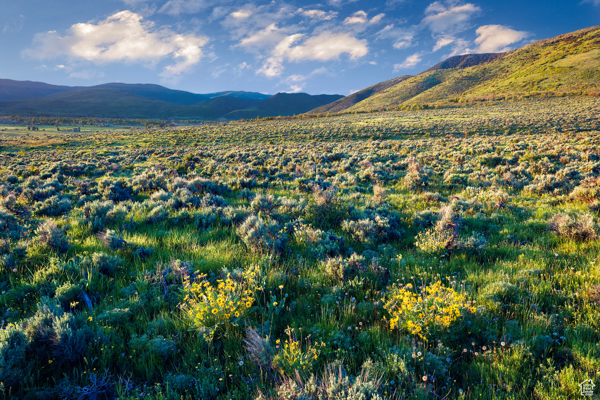 HOYT PEAK RANCH - Land