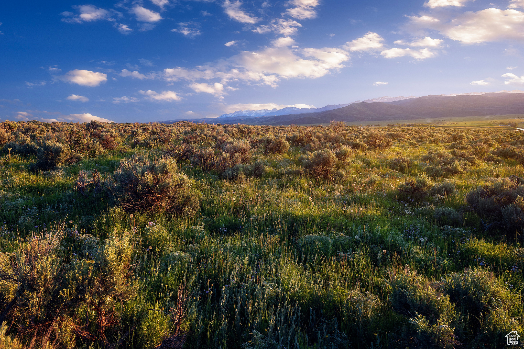 HOYT PEAK RANCH - Land