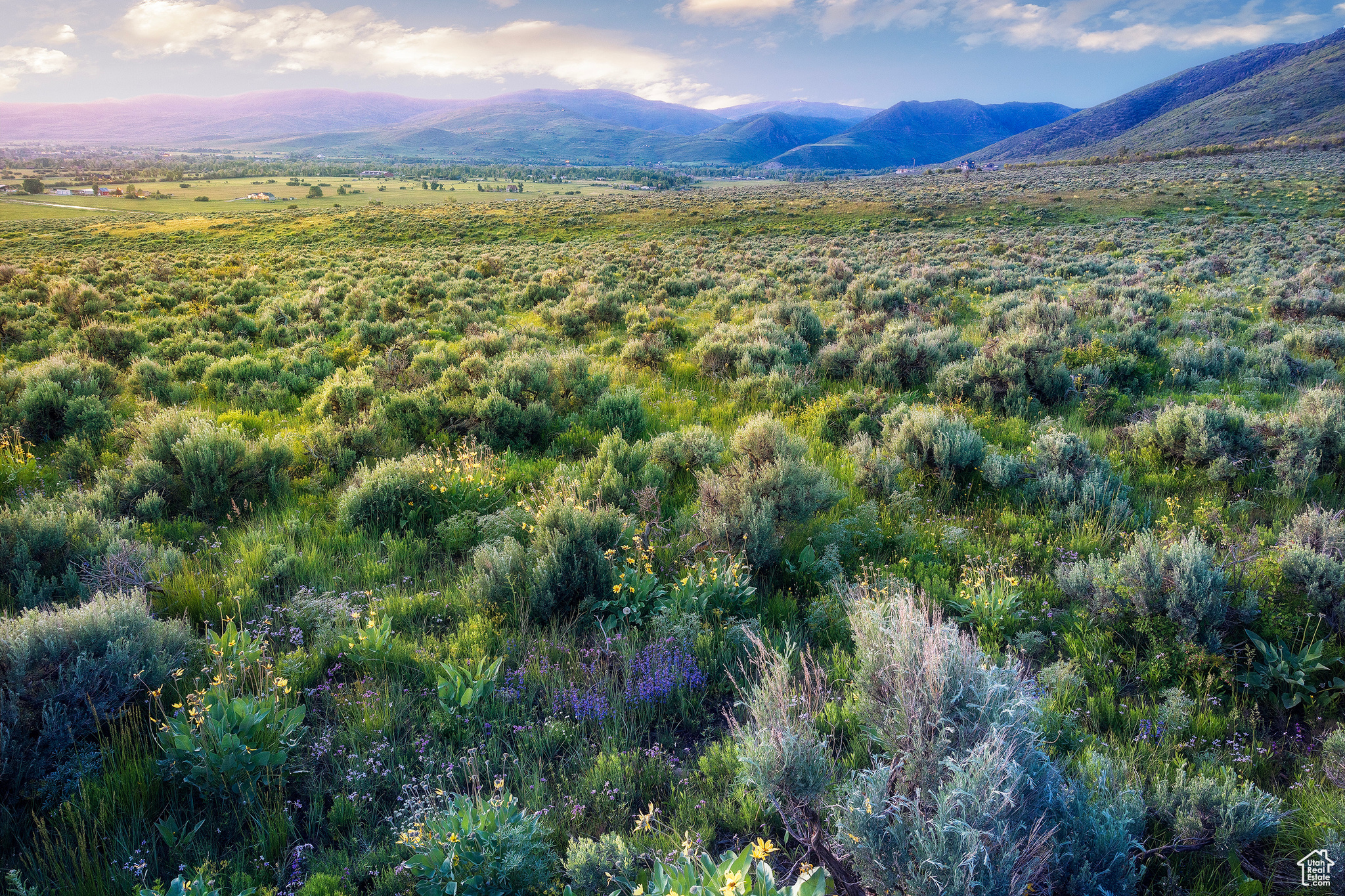 HOYT PEAK RANCH - Land