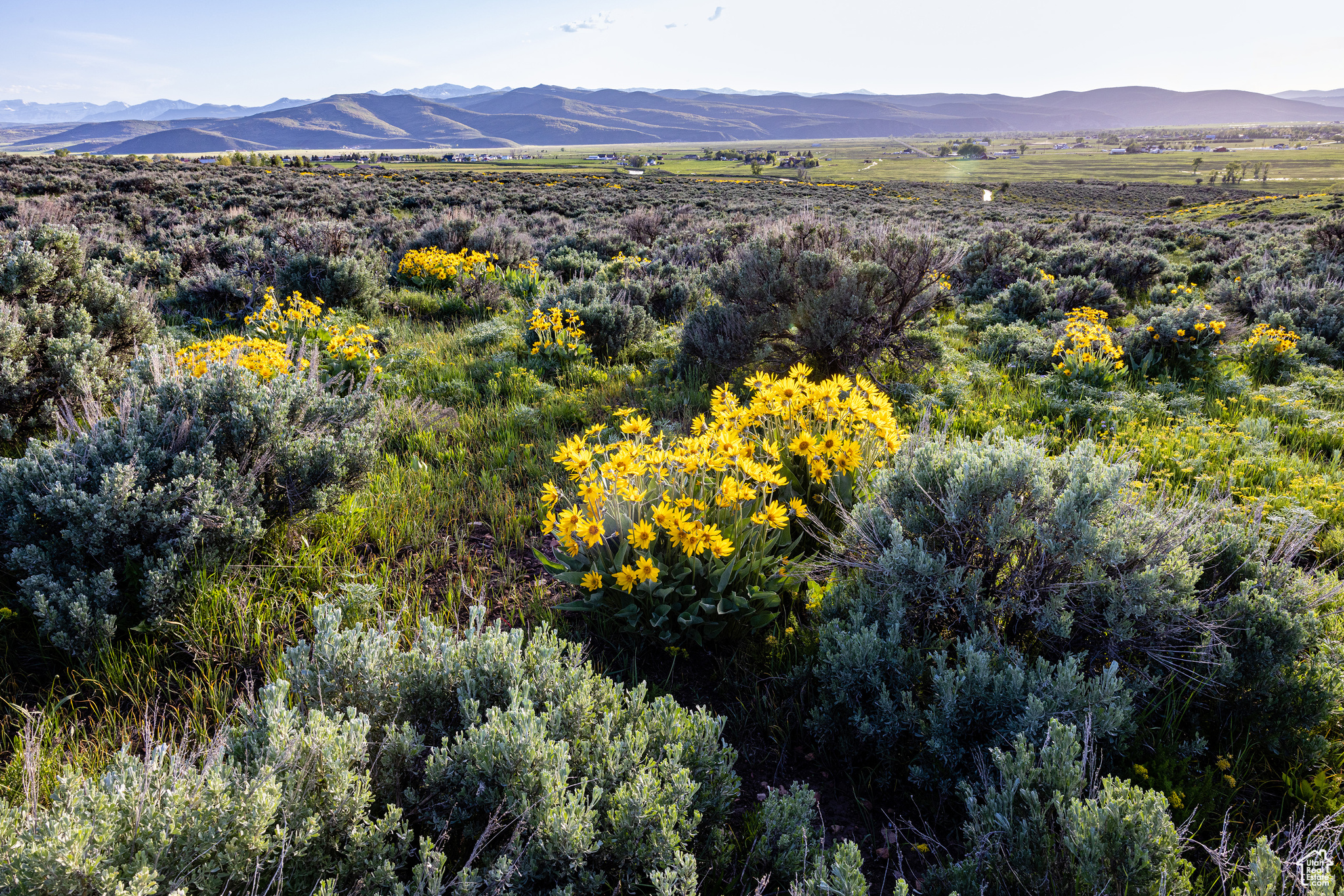 HOYT PEAK RANCH - Land