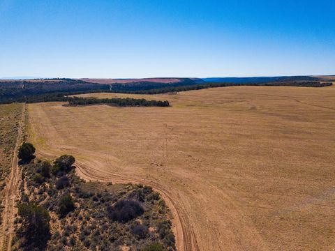 Tiny photo for Monticello, UT 84535 (MLS # 2135174)