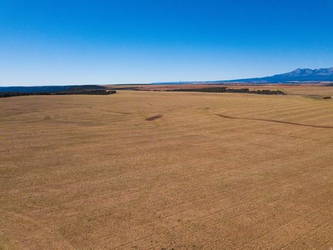 Tiny photo for Monticello, UT 84535 (MLS # 2135174)