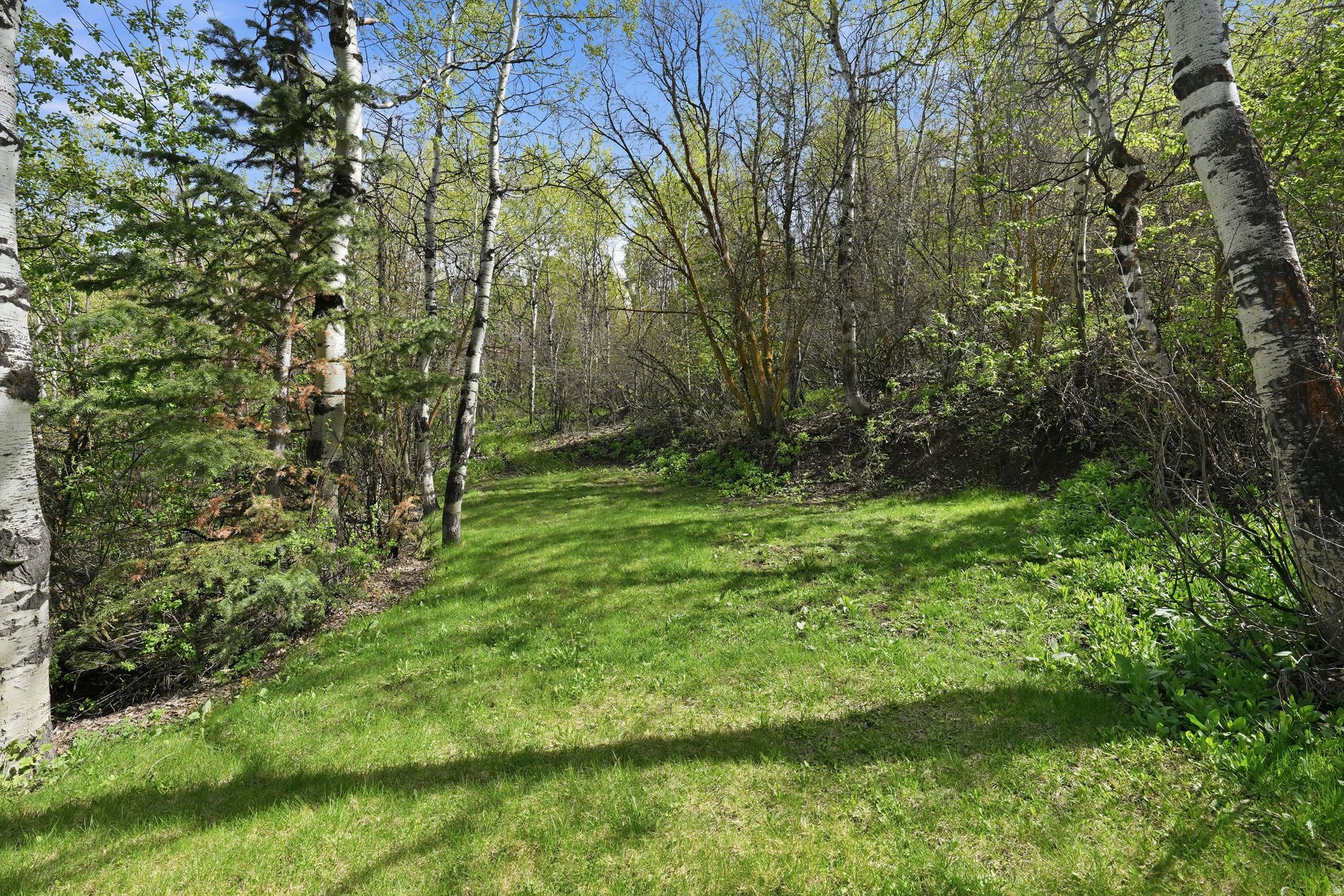 JEREMY RANCH - Residential