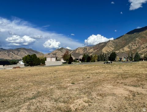 Tiny photo for 683 W OVERLOOK RIDGE CIR, Mapleton, UT 84664 (MLS # 2115372)