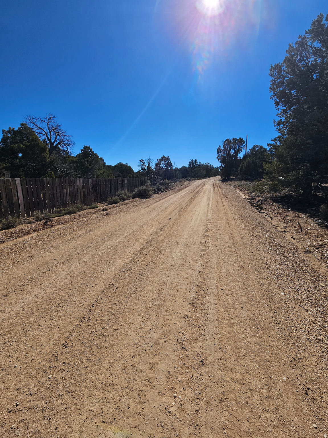 TABBY SHADOWS - Land