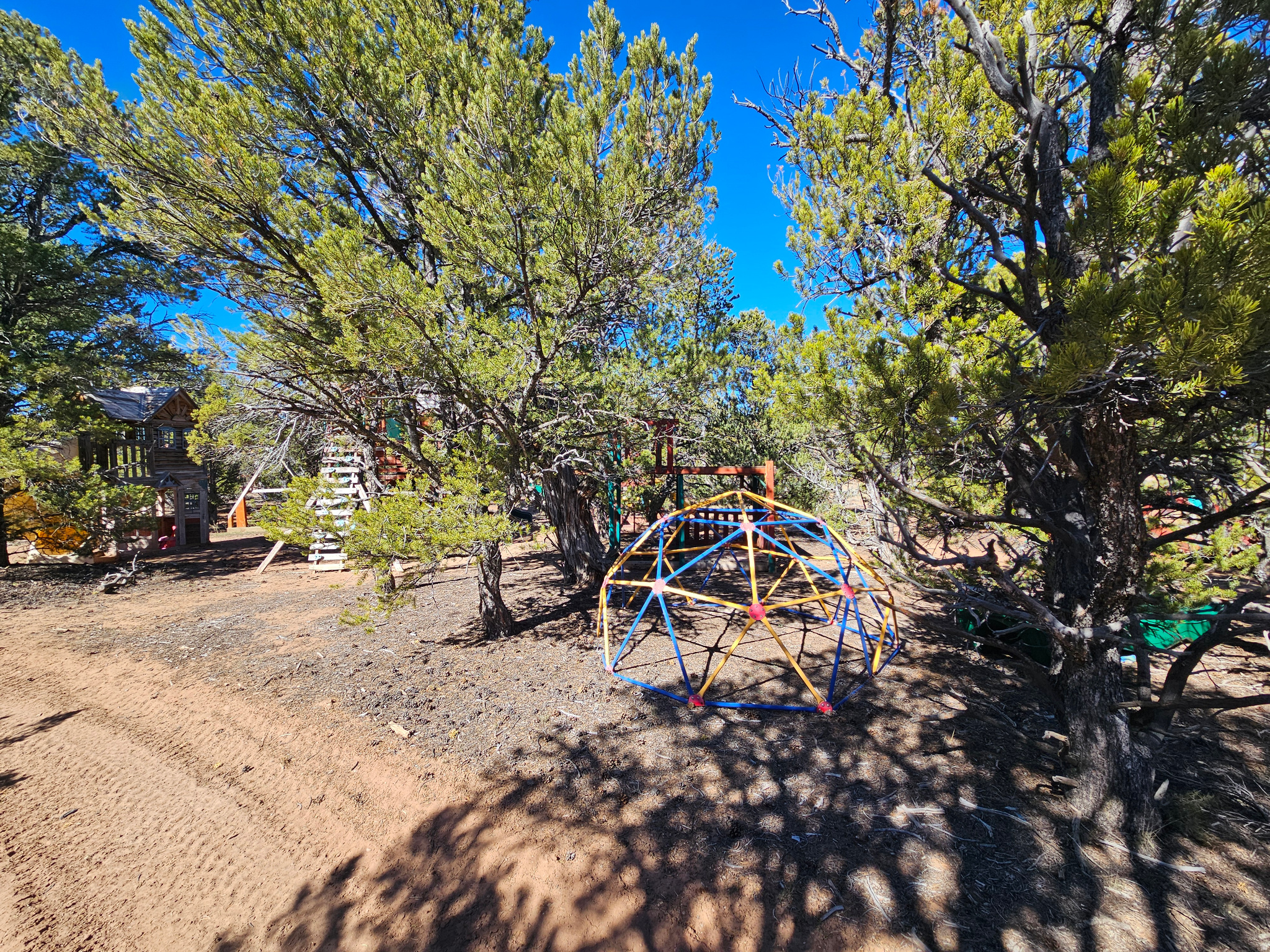 TABBY SHADOWS - Land