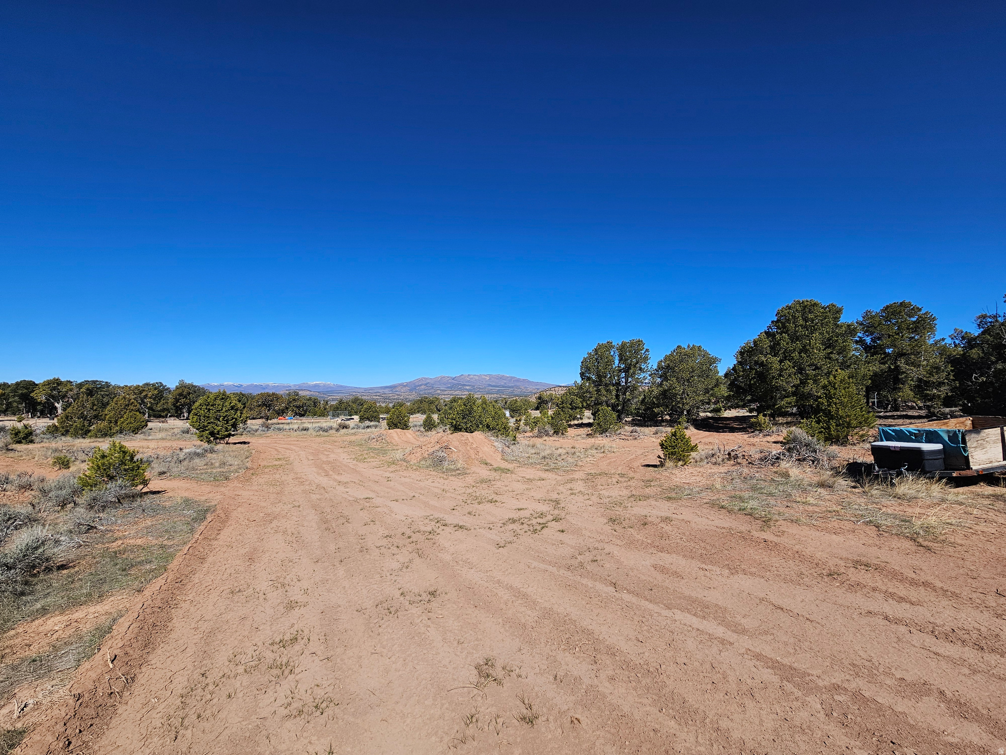 TABBY SHADOWS - Land