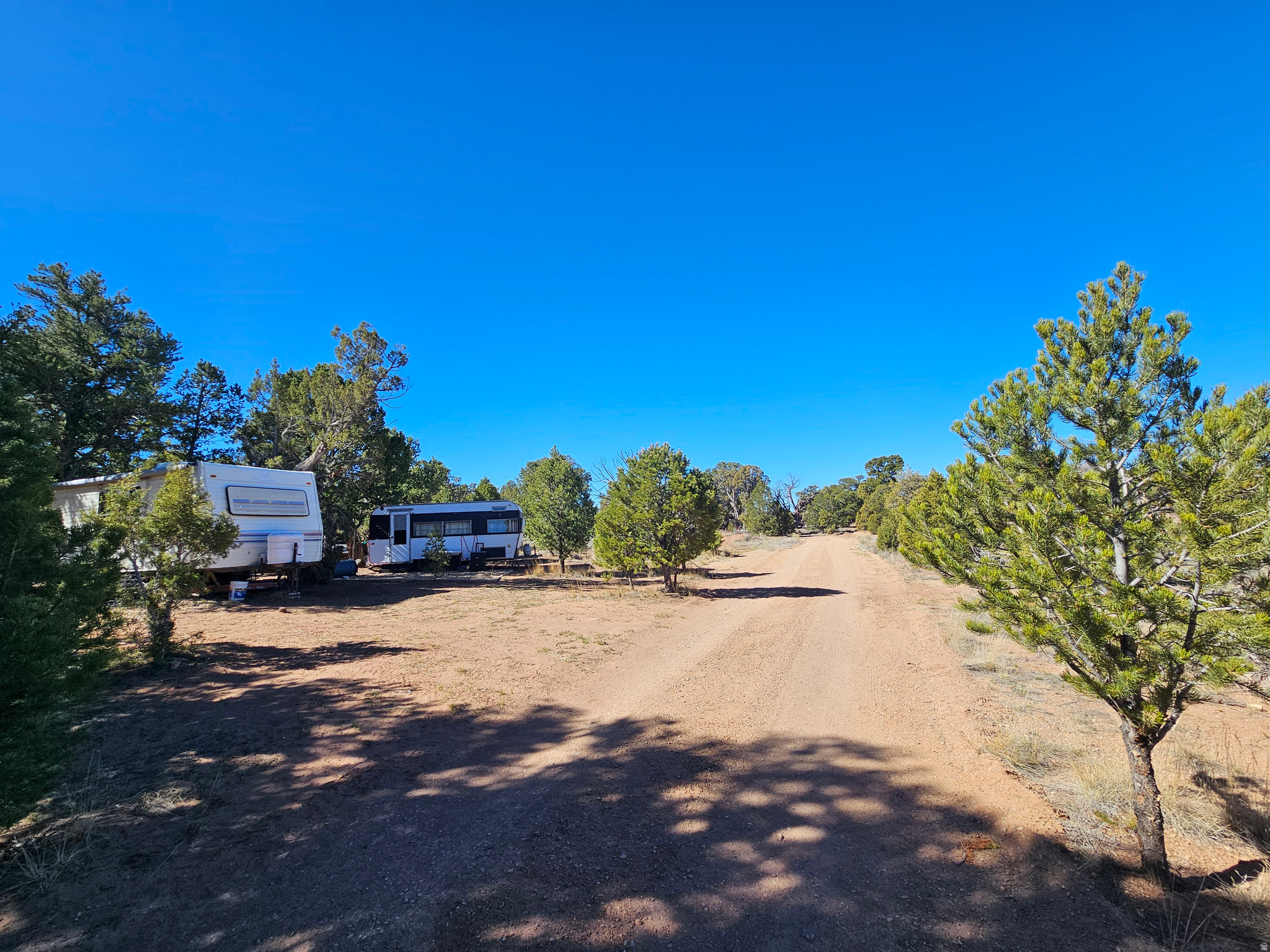 TABBY SHADOWS - Land