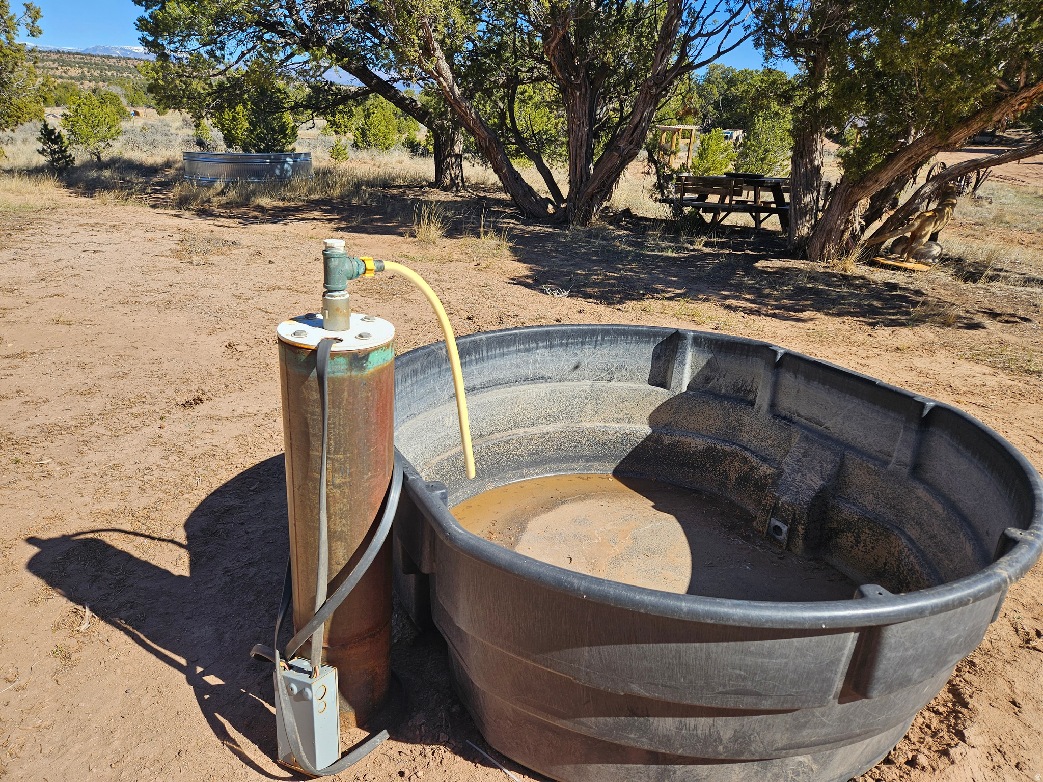 TABBY SHADOWS - Land