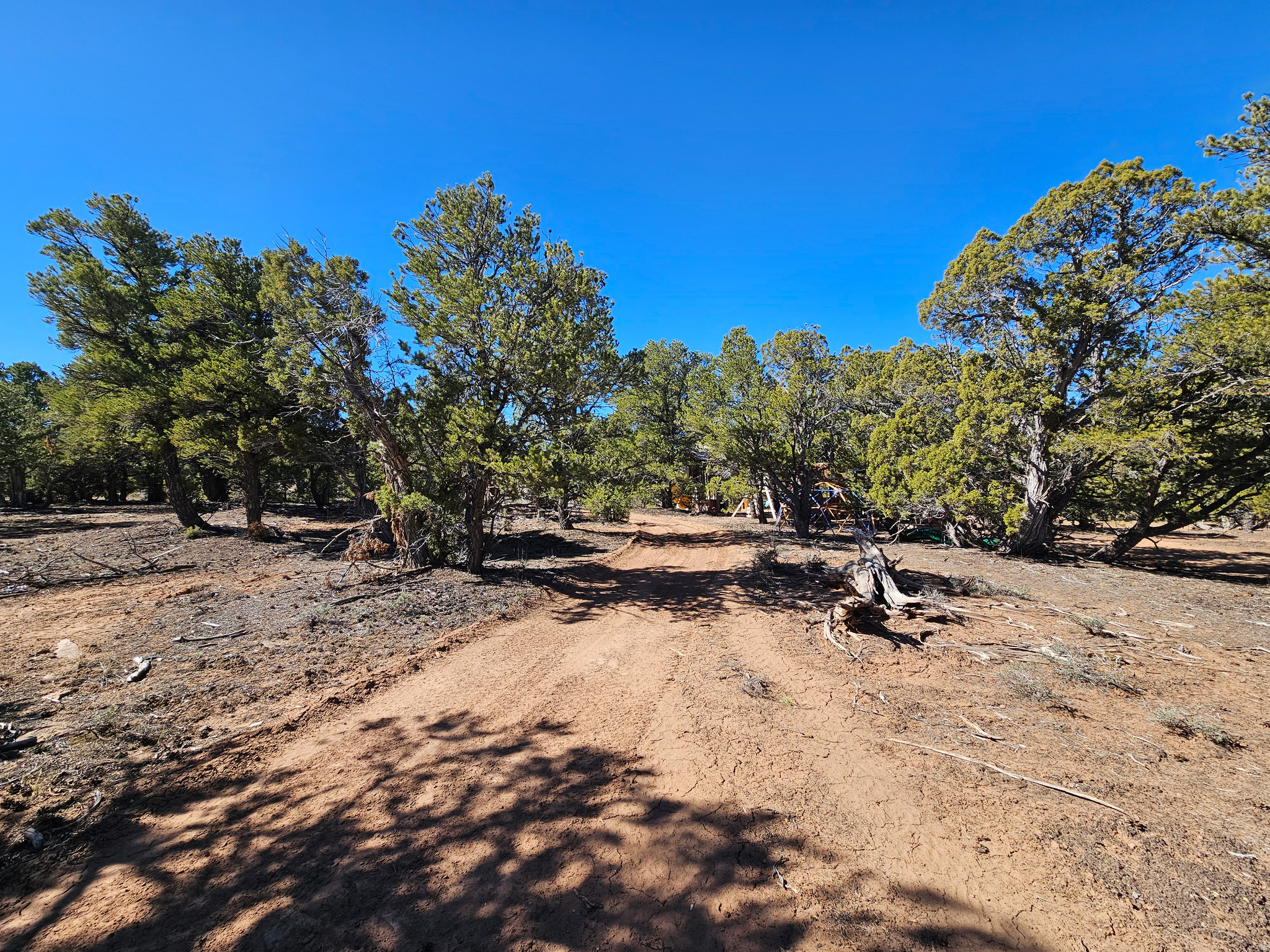 TABBY SHADOWS - Land