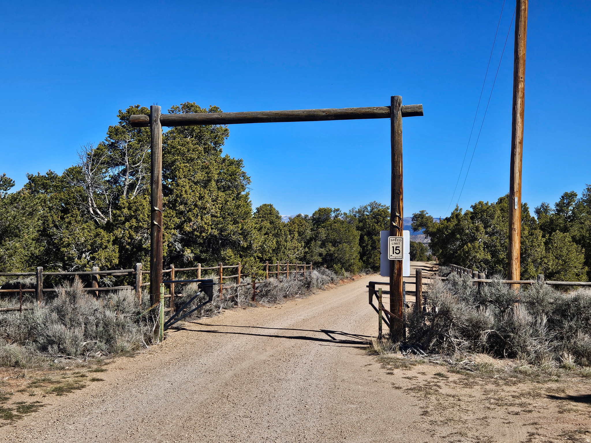 TABBY SHADOWS - Land