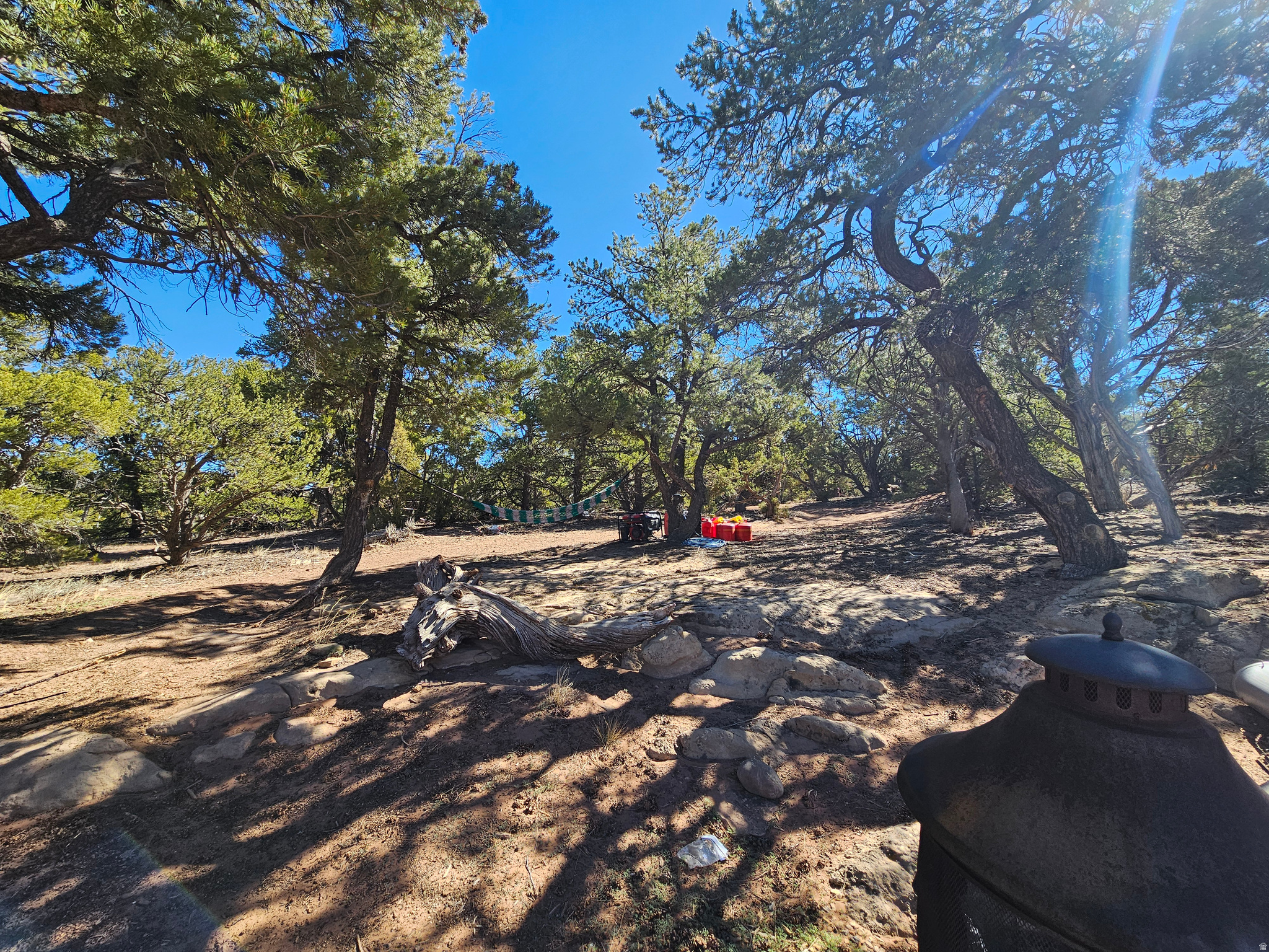 TABBY SHADOWS - Land