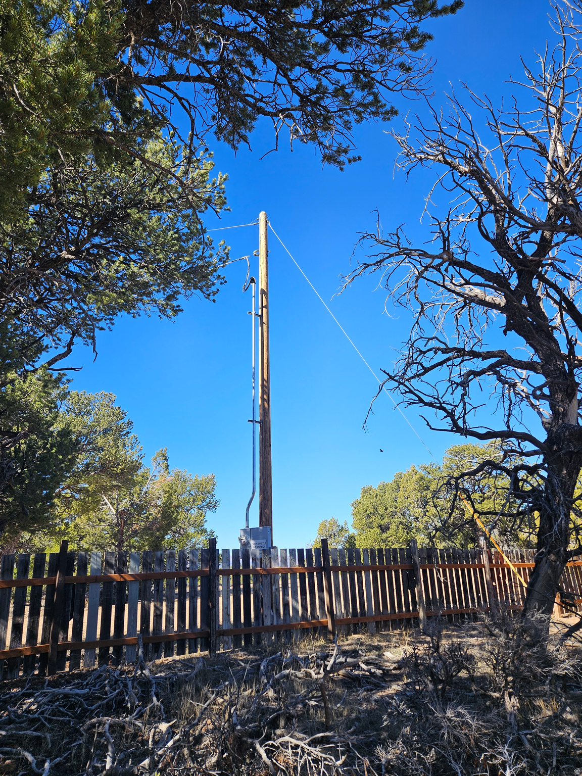 TABBY SHADOWS - Land