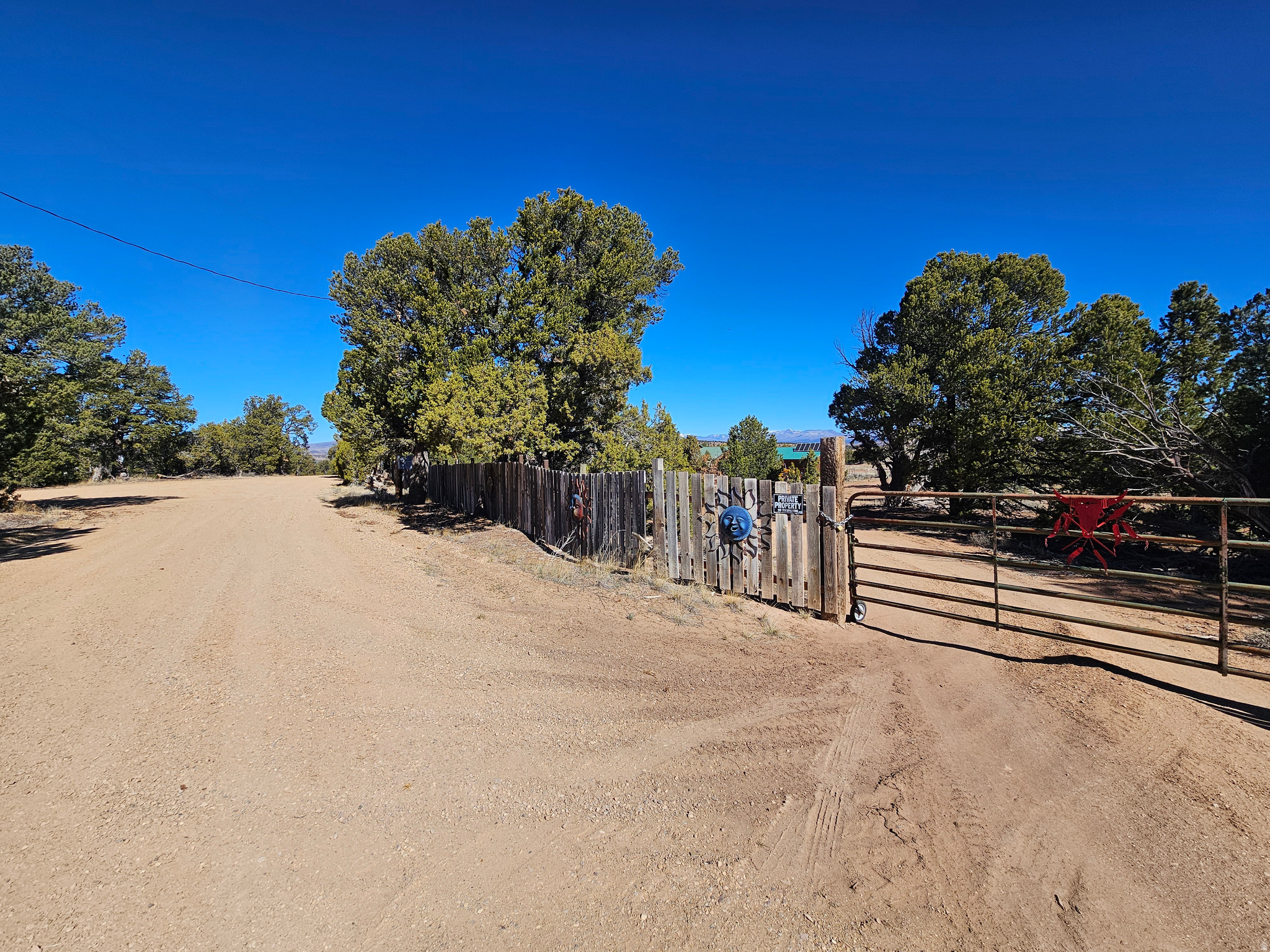 TABBY SHADOWS - Land