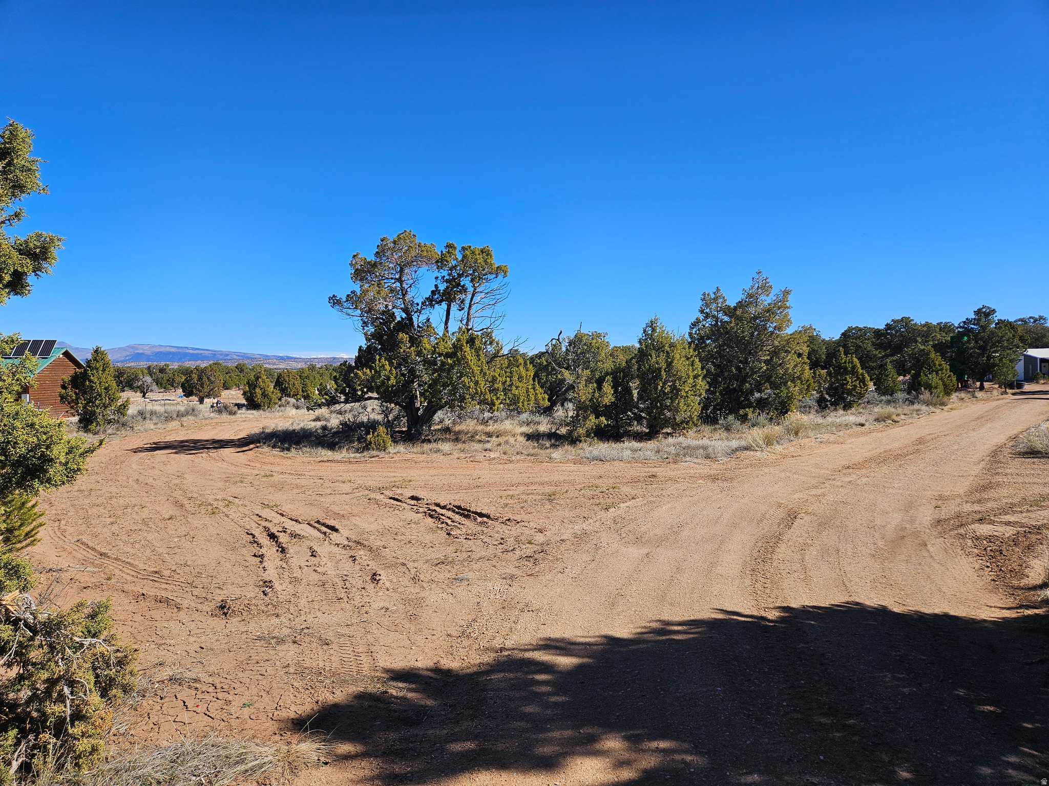 TABBY SHADOWS - Land