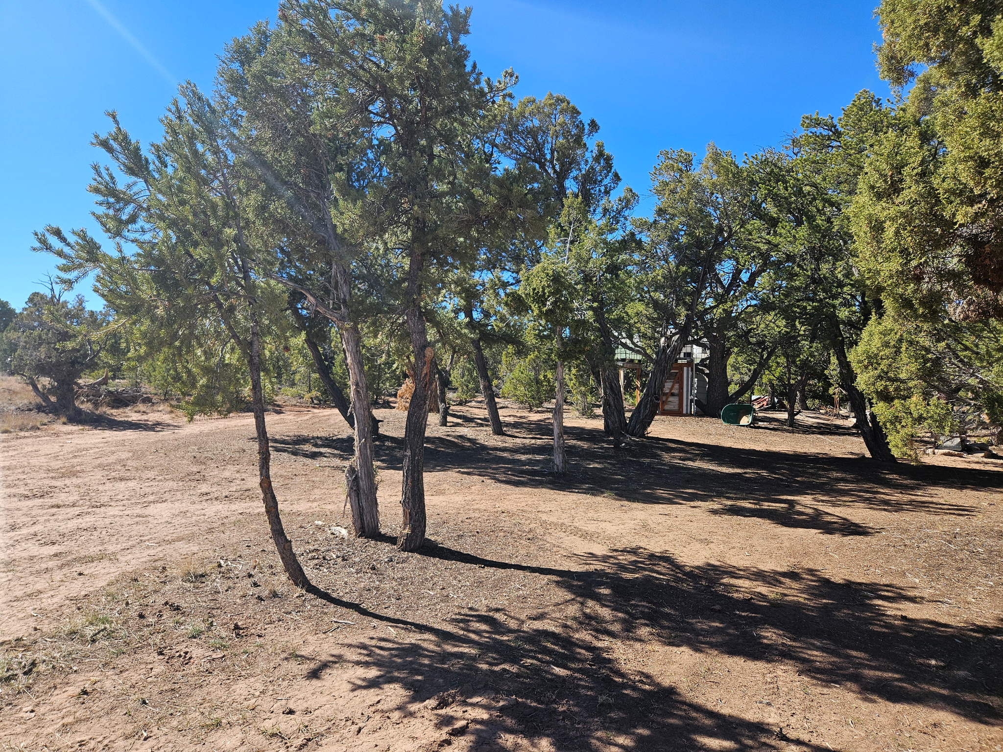 TABBY SHADOWS - Land