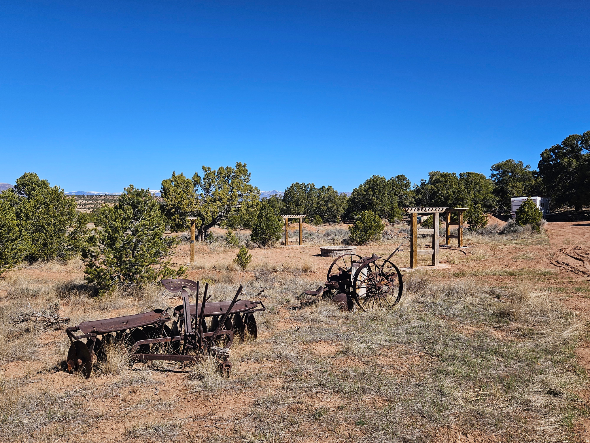 TABBY SHADOWS - Land