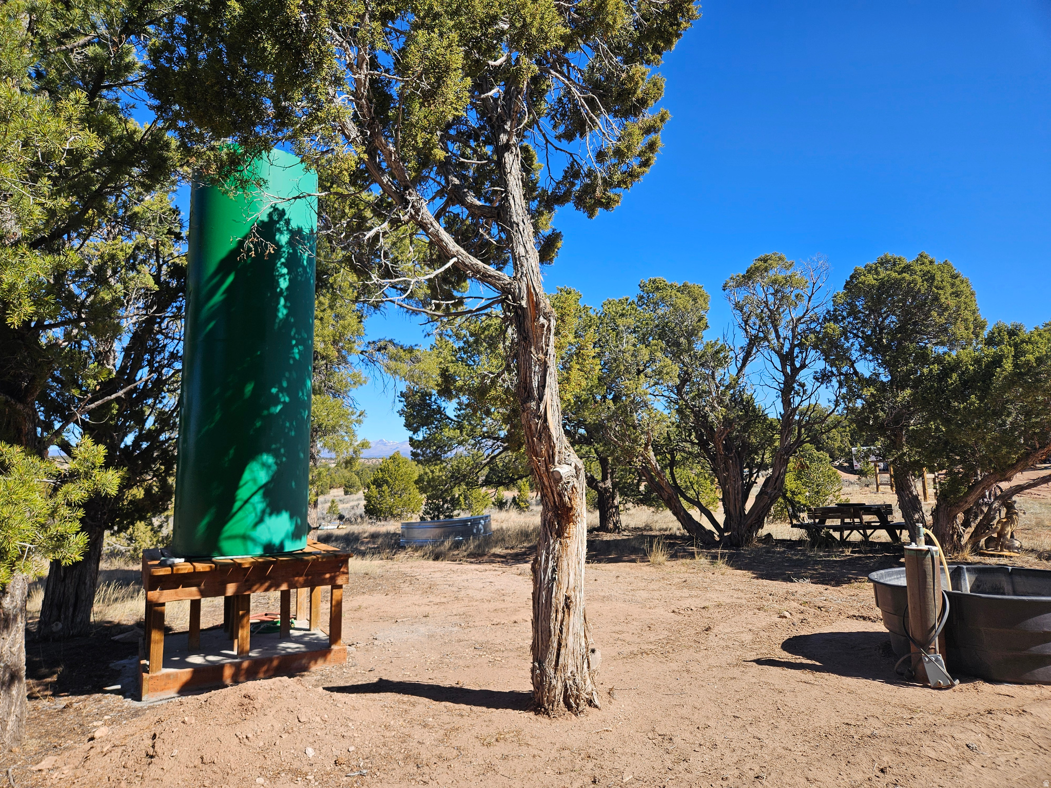 TABBY SHADOWS - Land