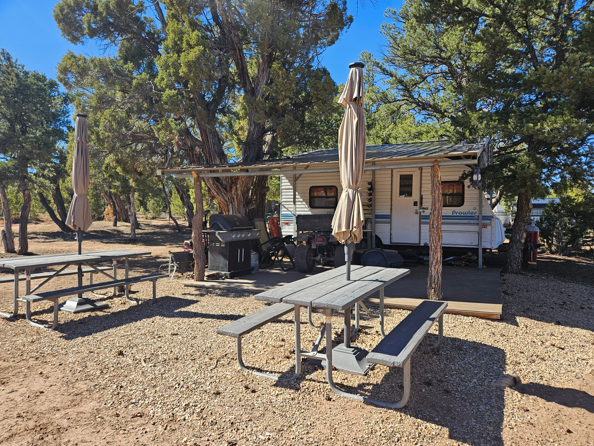 TABBY SHADOWS - Land