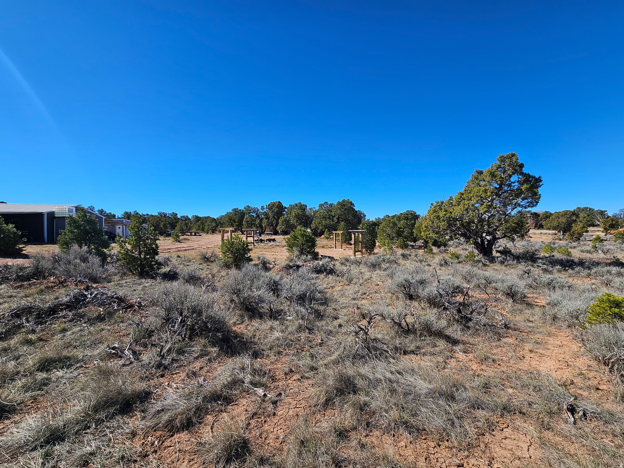 TABBY SHADOWS - Land