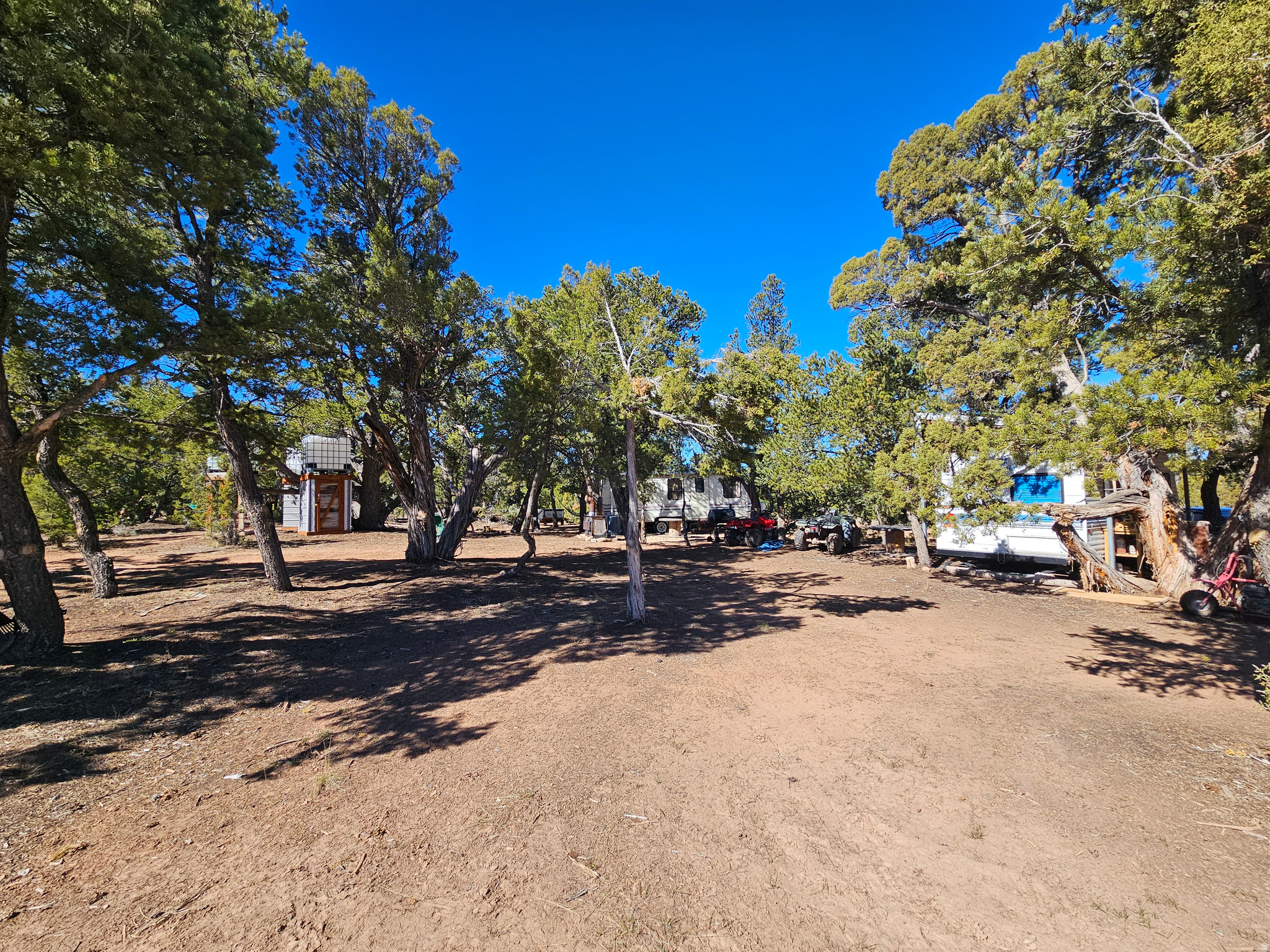 TABBY SHADOWS - Land