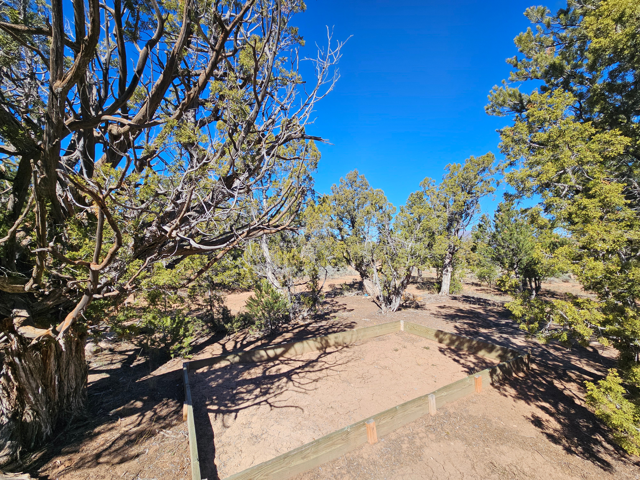 TABBY SHADOWS - Land