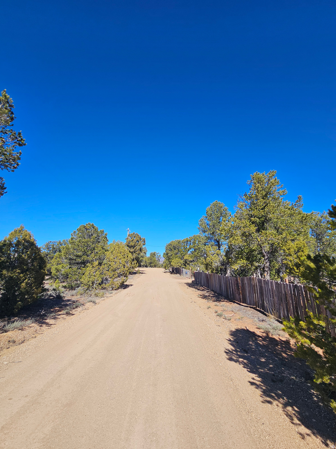 TABBY SHADOWS - Land