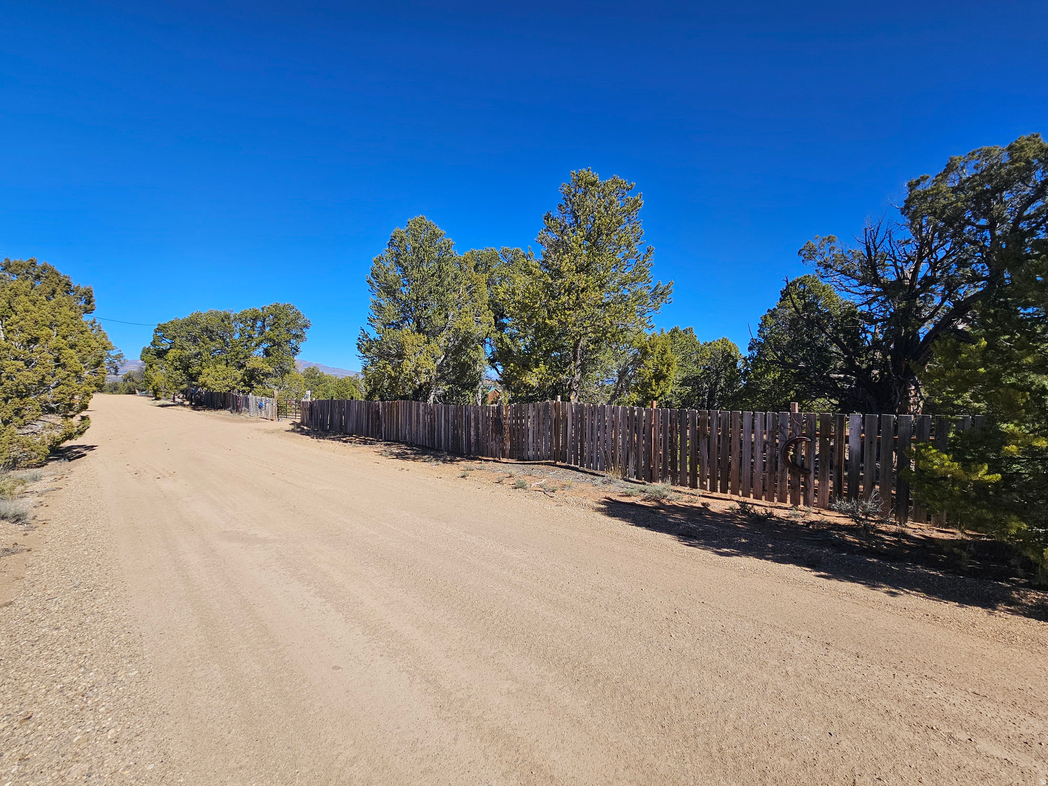 TABBY SHADOWS - Land