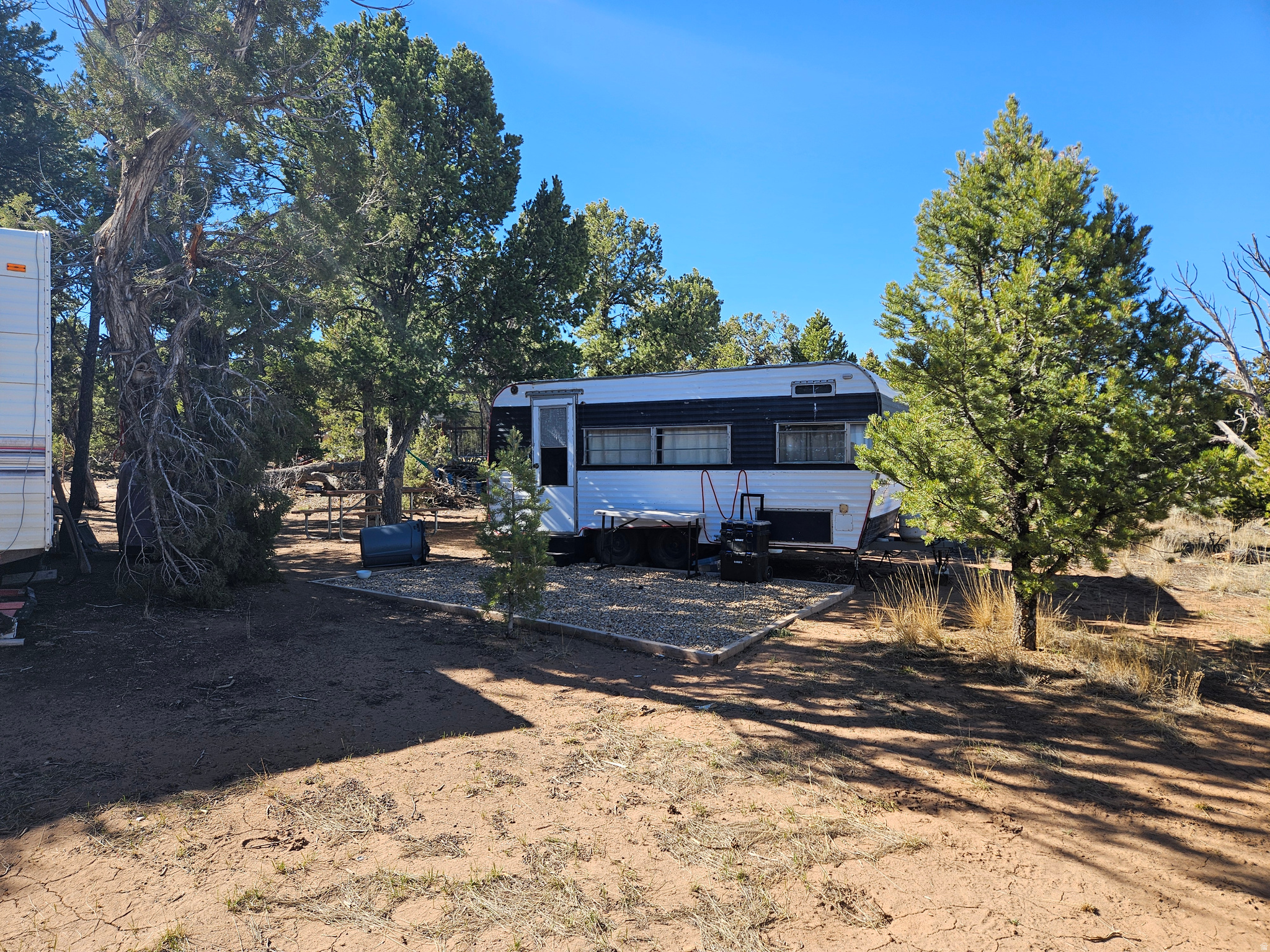 TABBY SHADOWS - Land