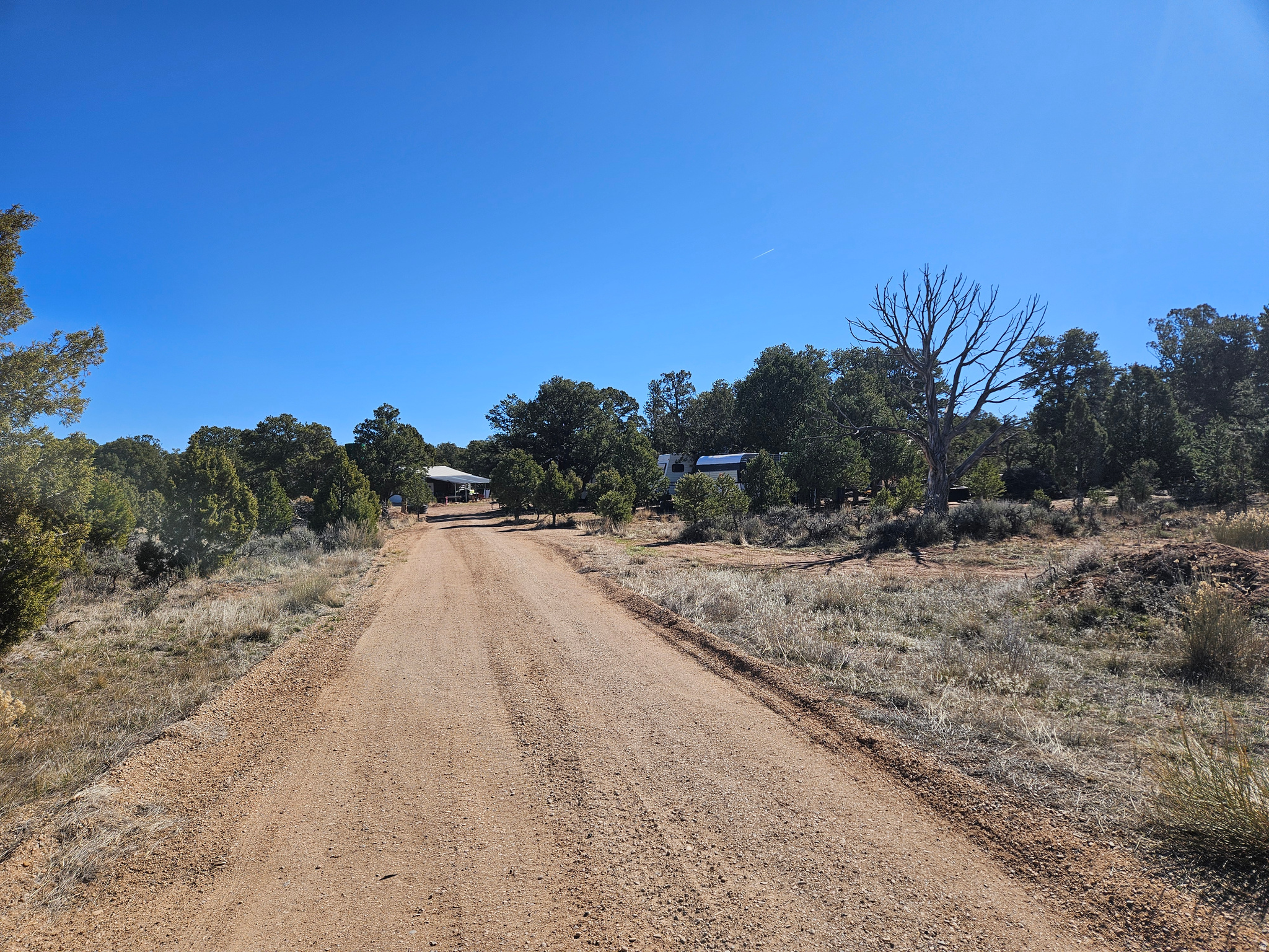 TABBY SHADOWS - Land