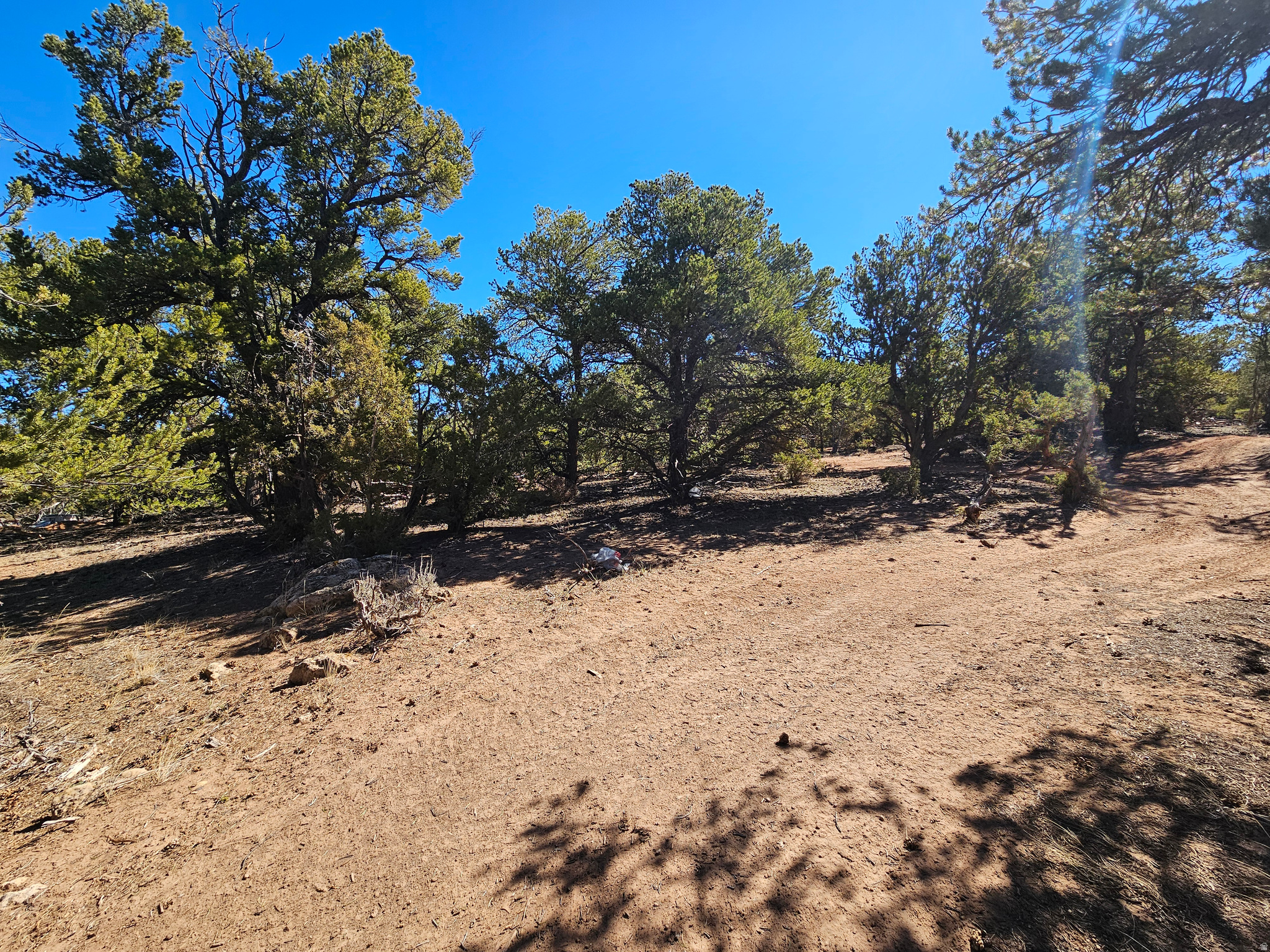 TABBY SHADOWS - Land