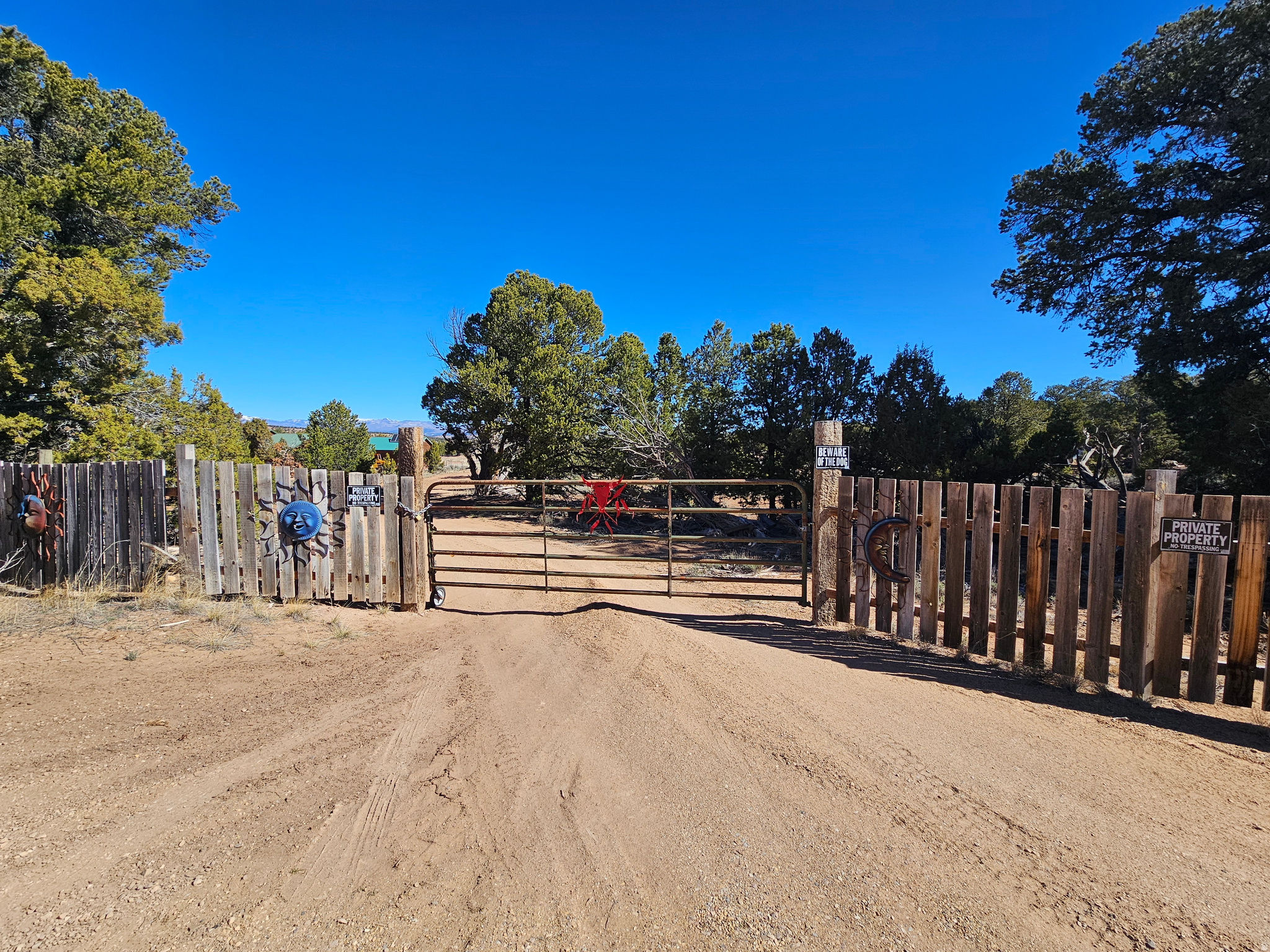 TABBY SHADOWS - Land