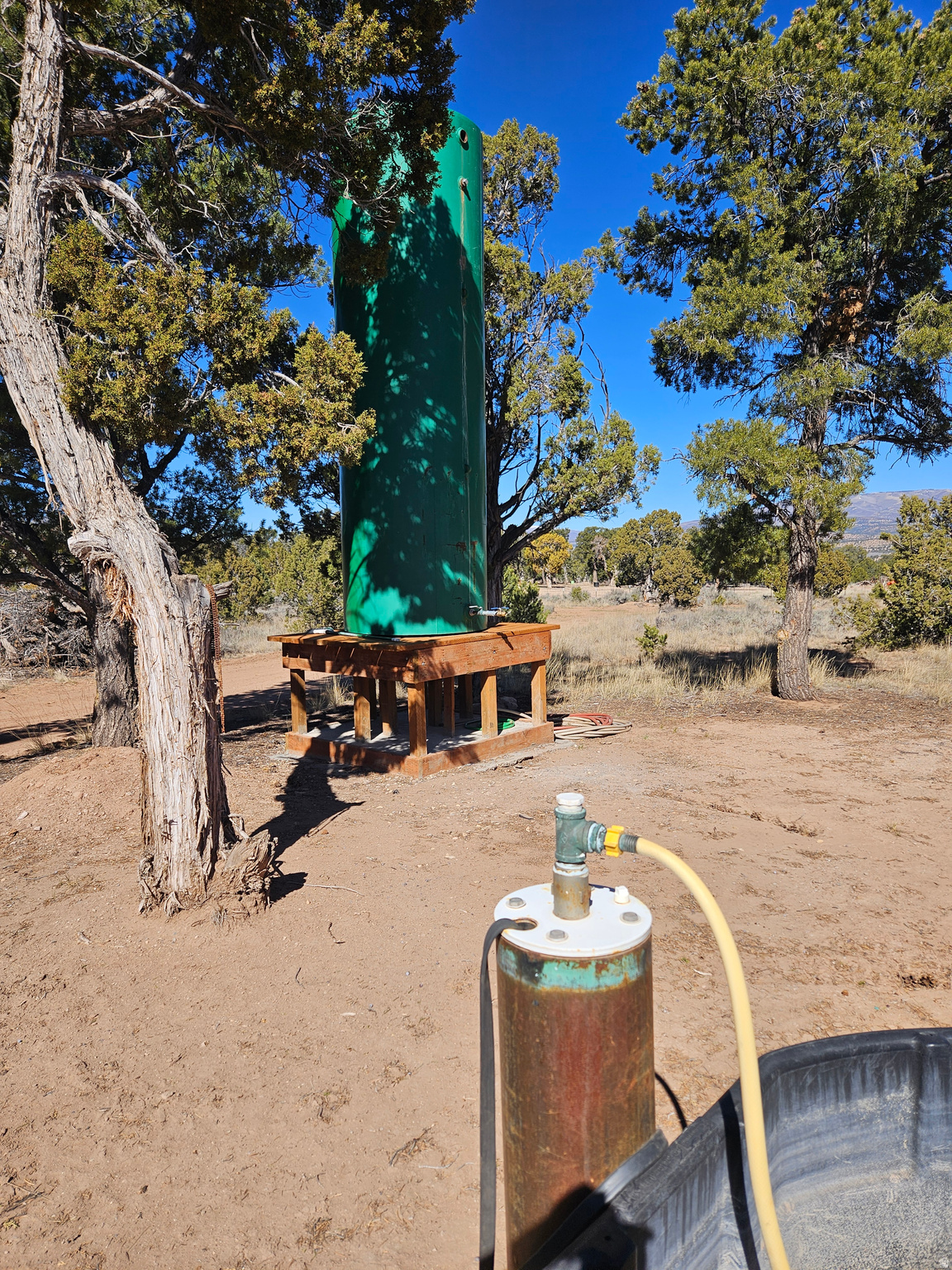 TABBY SHADOWS - Land