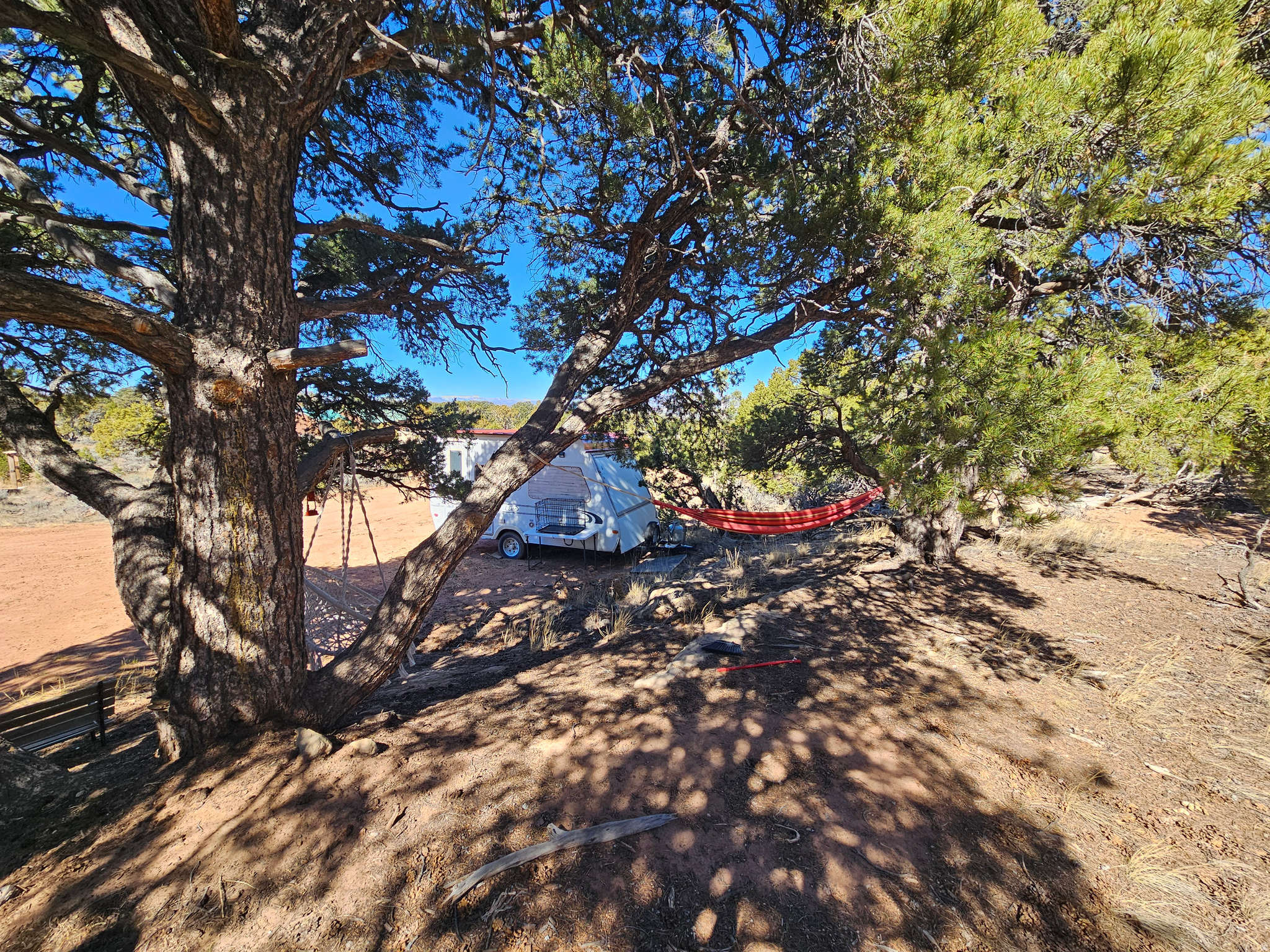 TABBY SHADOWS - Land