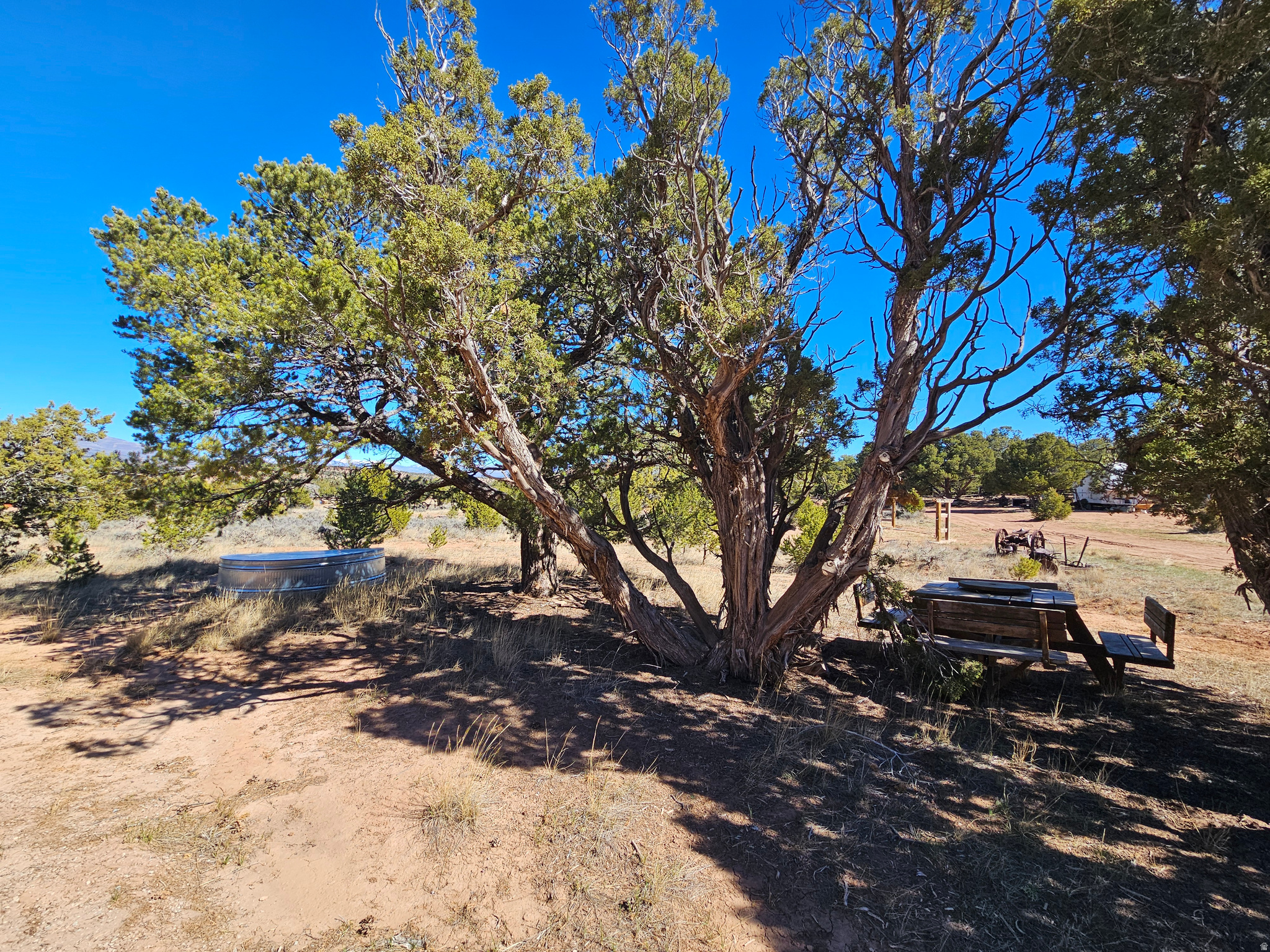 TABBY SHADOWS - Land