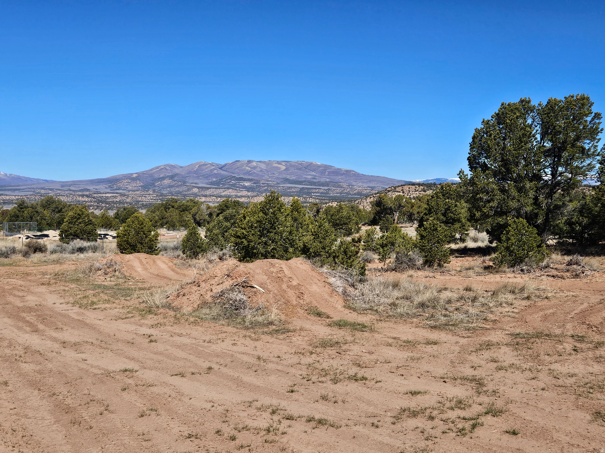 TABBY SHADOWS - Land