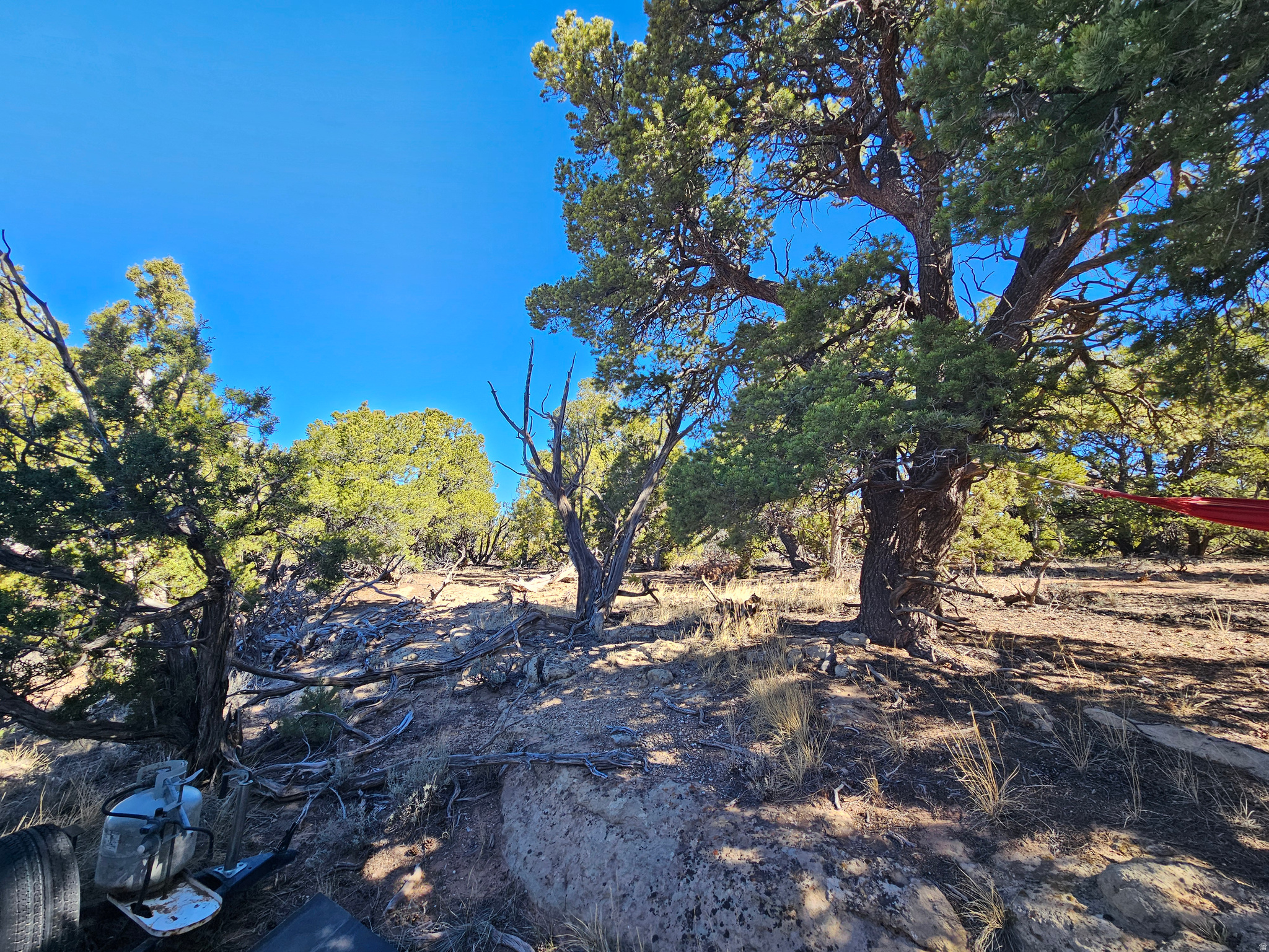 TABBY SHADOWS - Land