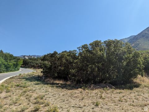 Vacant Land For Sale - 15 S Bentwood Ln #1117<br/> Sandy, UT 84092
