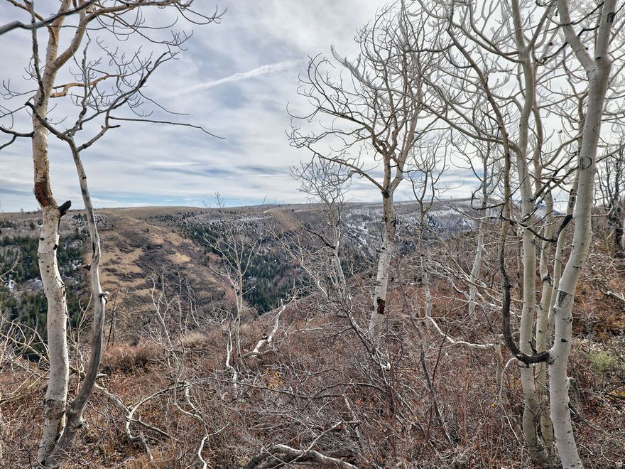 This incredible 40-acre parcel offers expansive scenery and unmatched privacy. The property includes access to the gated Beaver Creek area-land that has been privately enjoyed for decades for hunting, camping, and outdoor recreation. The current owners have created years of memories here and are ready to pass along this rare opportunity to someone new. With easy access to the canyon and acreage per county recorder, this is the perfect spot for your next adventure or future retreat.   Square footage figures are provided as a courtesy estimate only and were obtained from County Records .  Buyer is advised to obtain an independent measurement.