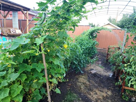 Tiny photo for 430 W 4675 S, Washington Terrace, UT 84405 (MLS # 2116446)