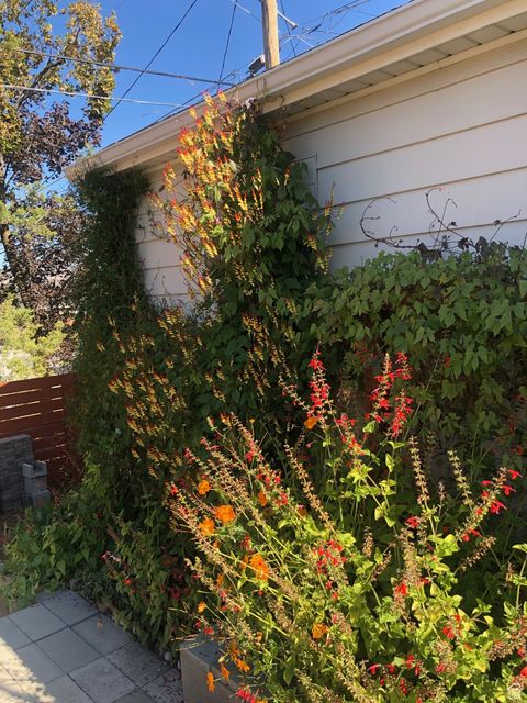 Tiny photo for 430 W 4675 S, Washington Terrace, UT 84405 (MLS # 2116446)