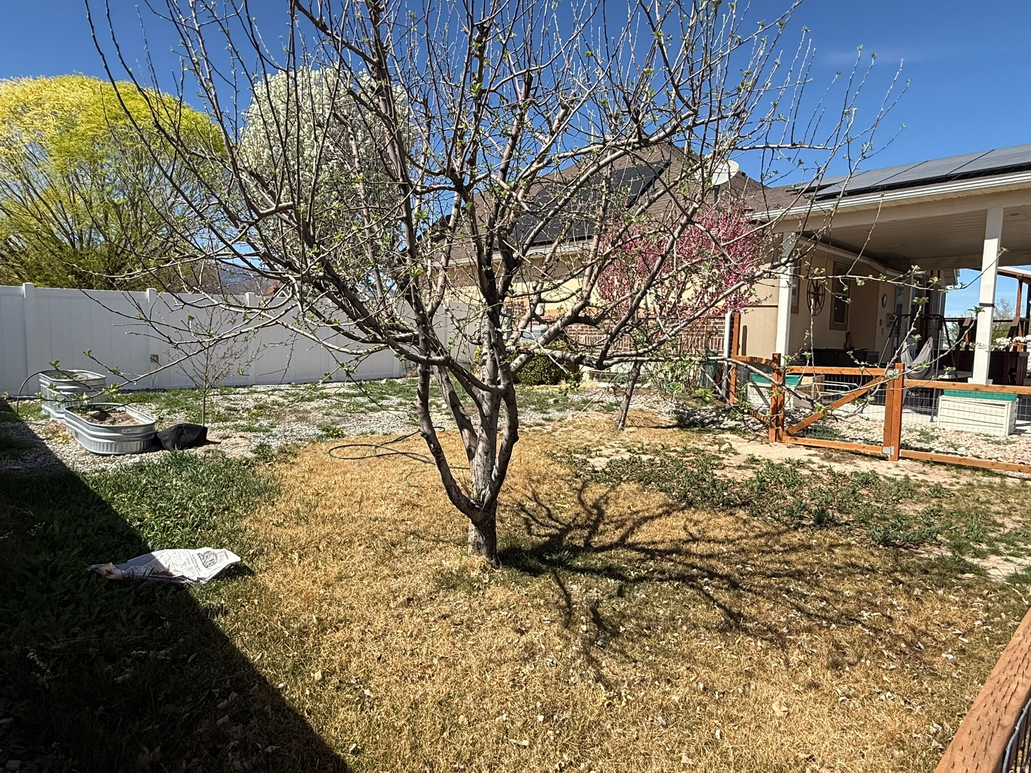 BLAKE MOUNTAIN VIEW - Residential