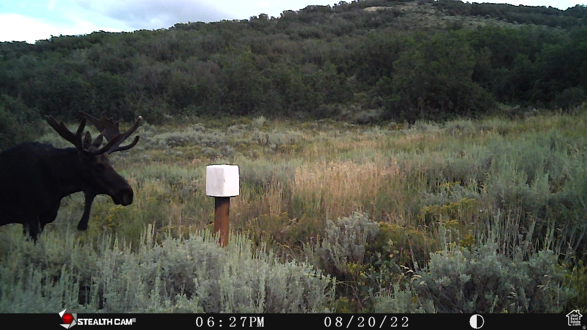 ECHO CREEK RANCHES - Land